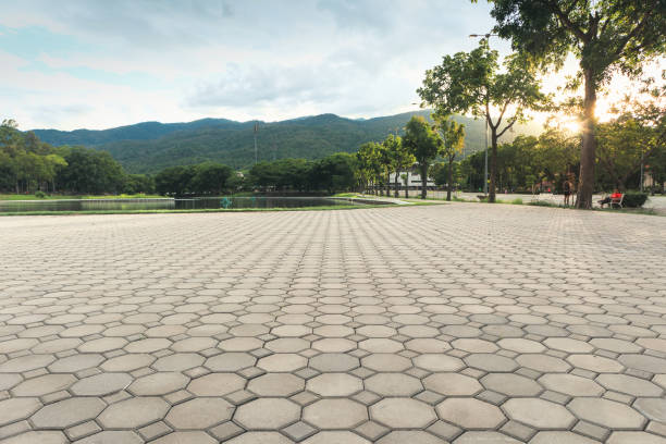Best Local Driveway Pavers  in White Rock, NM